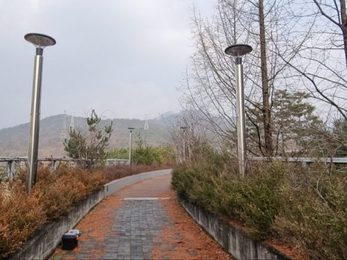 노원구청 공원등