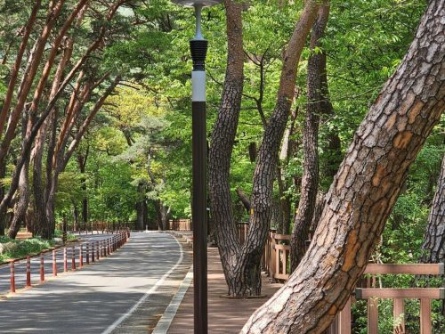 밀양 표충사 보안등