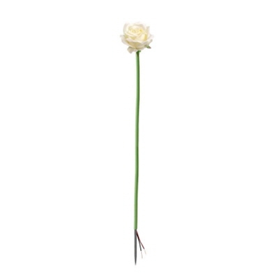 HANA-FLOWERA, 1W